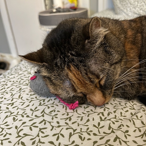 Meet your Posher, Jill - Picture 2 of 3